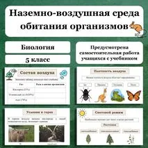 Презентация 