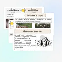 Презентация 
