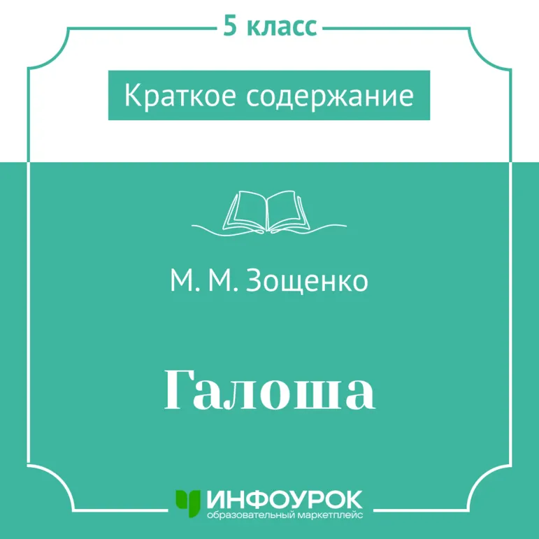 М.М. Зощенко «Галоша» — краткое содержание