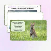 Презентация «Среды обитания организмов», 5 класс
