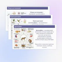 Комплект (презентация + рабочий лист) 