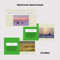 Природная зона Тундра, комплект к уроку (Презентация+рабочий лист). Окружающий мир (4 класс), Внеурочная деятельность 