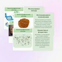 Презентация по биологии 