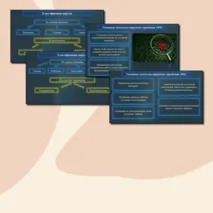 Комплект (Презентация + конспект) урока по информатике на тему «Вирусы и антивирусные программы», 7 класс.