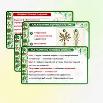Презентация 