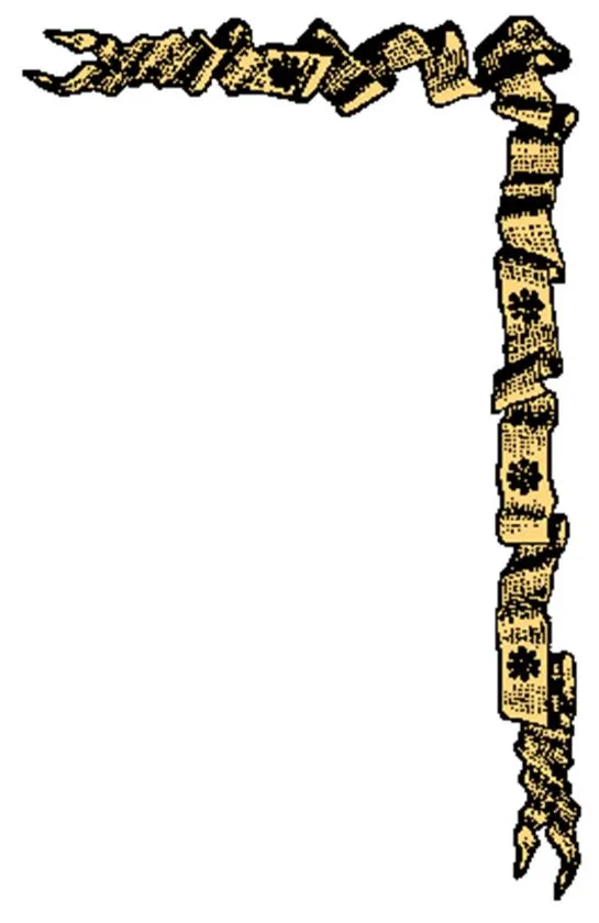 116135