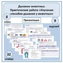 Презентация по биологии «Дыхание животных. Практическая работа «Изучение способов дыхания у животных» 8 класс