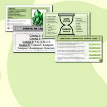 География. 8 класс. Презентация по теме 