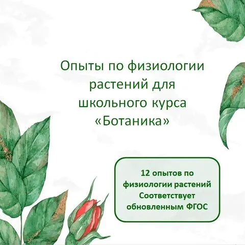 Презентация 