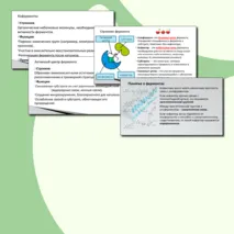 Презентация по биологии. 10 класс. Тема: «Ферменты – биологические катализаторы».