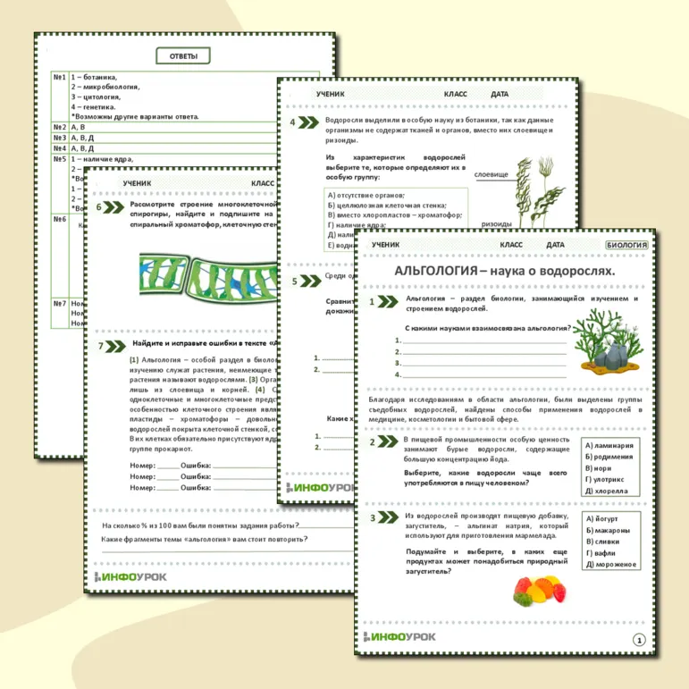 Рабочий лист 