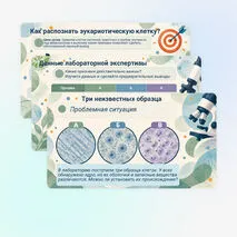 Презентация 
