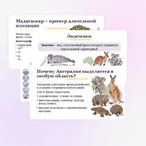 Презентация по биологии 