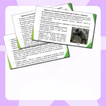 Презентация по ОБЗР 9 класс Тема № 1 «Правила безопасного поведения в природной среде»