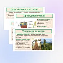 Презентация «Транспорт веществ в растении» 6 класс