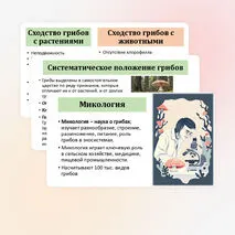 Презентация по биологии «Общая характеристика грибов» 7 класс