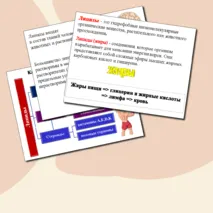 Презентация по биологии.Липиды.