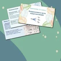 Презентация по биологии. 11 класс. Тема: «Направления и пути макроэволюции».