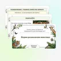 Презентация по биологии «Формы размножения животных»