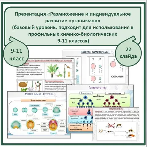 Презентация на тему 