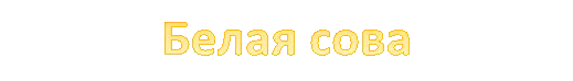 Белая сова обыкновенный