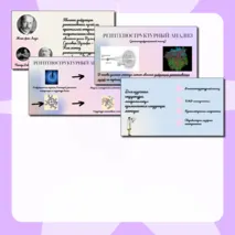 Презентация 