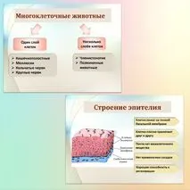 Комплект к уроку биологии 