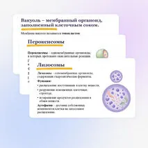 Презентация 