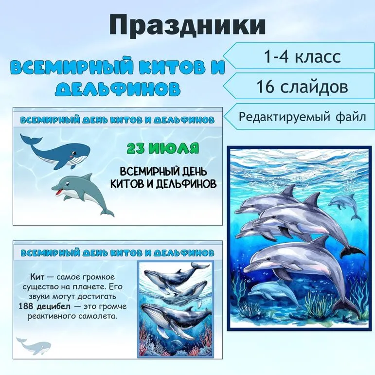 Всемирный день китов и дельфинов. Презентация.