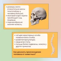 «Человек как часть природы», 9 класс