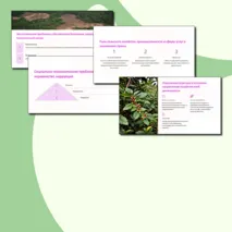 Презентация по географии 