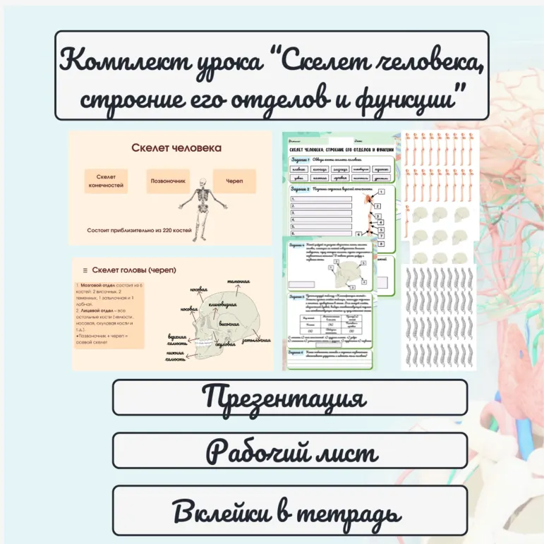 Комплект урока 
