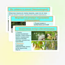 Презентация «Распространение плодов и семян в природе» 6 класс