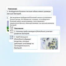 Презентация «Разбор задания 23 при подготовке к ОГЭ по биологии».