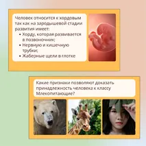 «Человек как часть природы», 9 класс