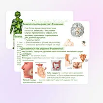 Презентация 