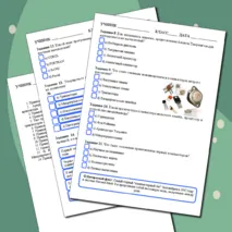 Рабочий лист по информатике на тему 
