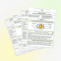 Практическая работа по биологии «Строение яйца и развитие зародыша птицы (курицы)»