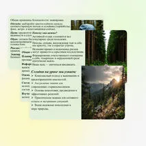Презентация «Безопасность в природной среде: тактика действий». ОБЗР, 11 класс