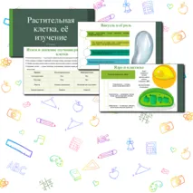 Презентация по теме: «Растительная клетка, её изучение». 6 класс