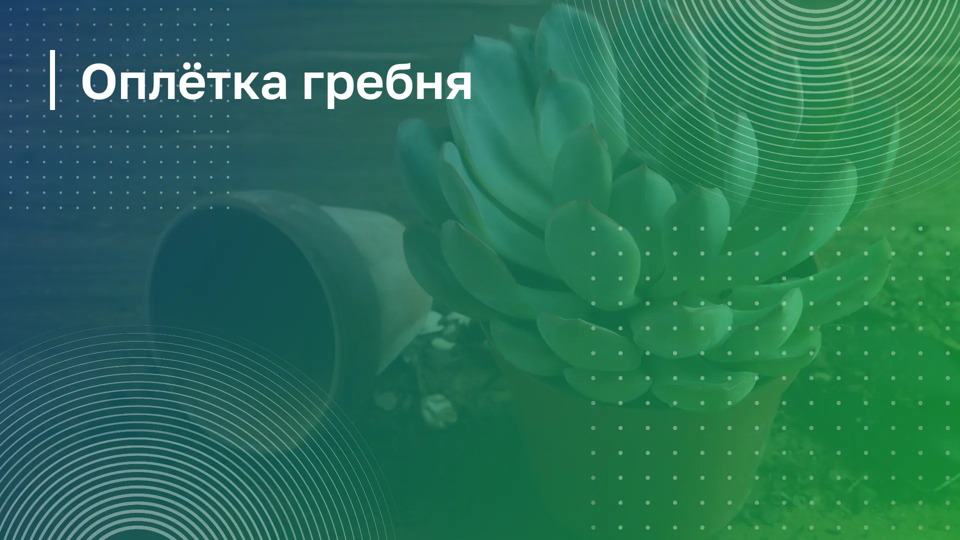 Обложка курса