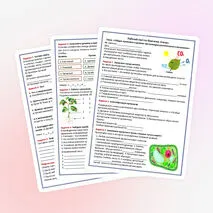 Рабочий лист по биологии. 6 класс. Тема: «Общие признаки и уровни организации растительного организма».