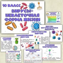 Презентация «Вирусы-неклеточная форма жизни». Биология 10 класс.