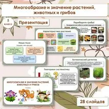 Презентация по биологии «Многообразие и значение растений, животных и грибов», 5 класс
