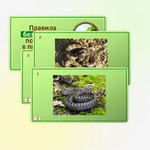 Презентация по ОБЗР по теме: «Правила безопасного поведения в природной среде». 9 класс.