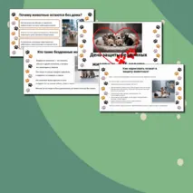 Презентация «Международный день защиты бездомных животных — 16 августа»