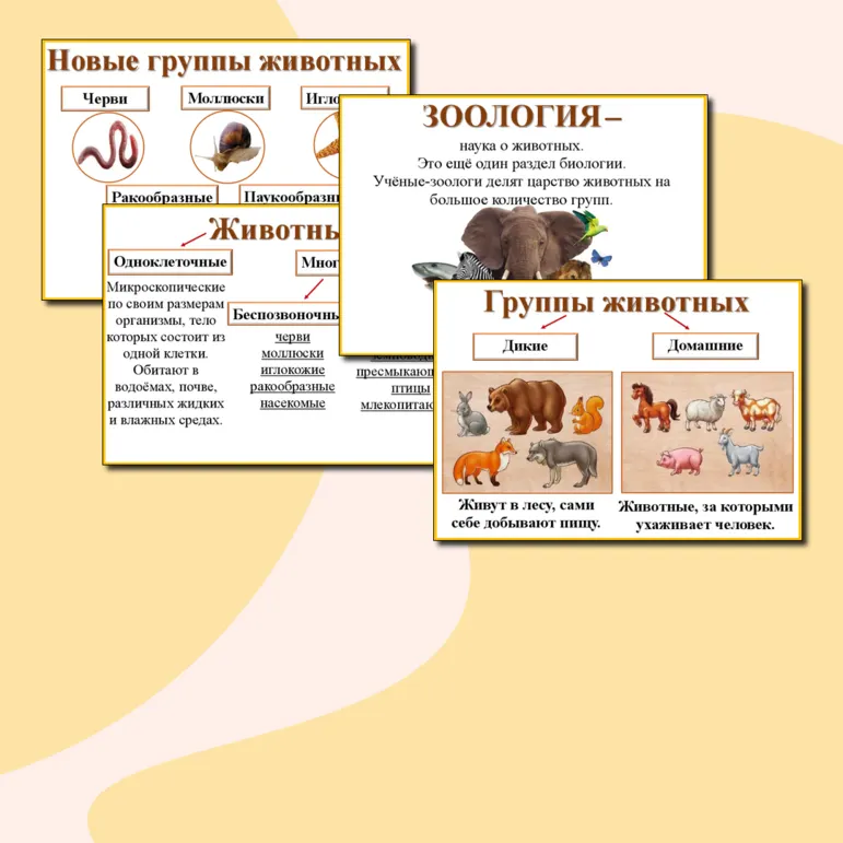 Наглядный материал 