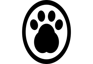 Picture background