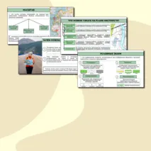 Презентация + практикум 