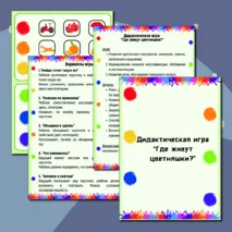 Дидактическая игра 